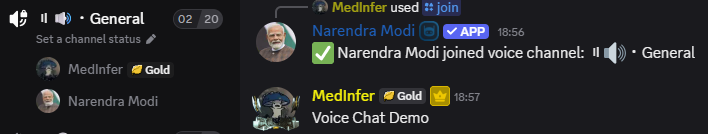 AurInfer Voice Chat Example